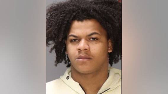 Arrest made after group stole carts of goods from Wegmans in Bucks County