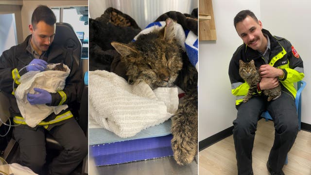 Kitten adopted by EMT who helped save his life after Camden fire