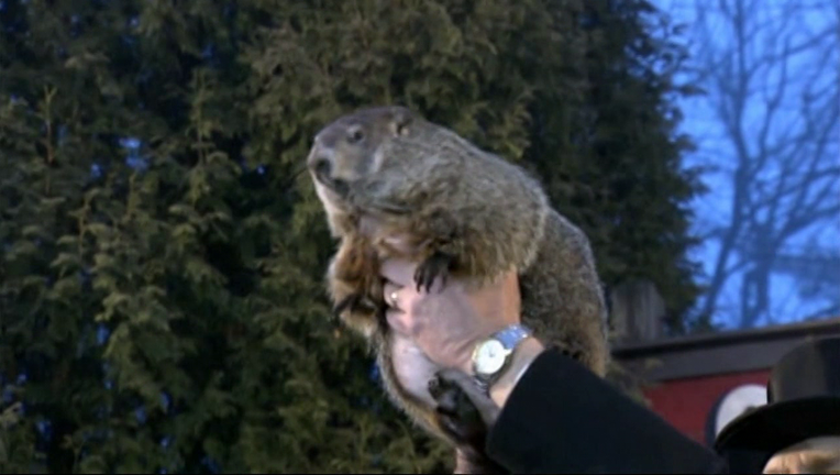 Groundhog Day 2025 What time will Punxsutawney Phil come out? FOX 29