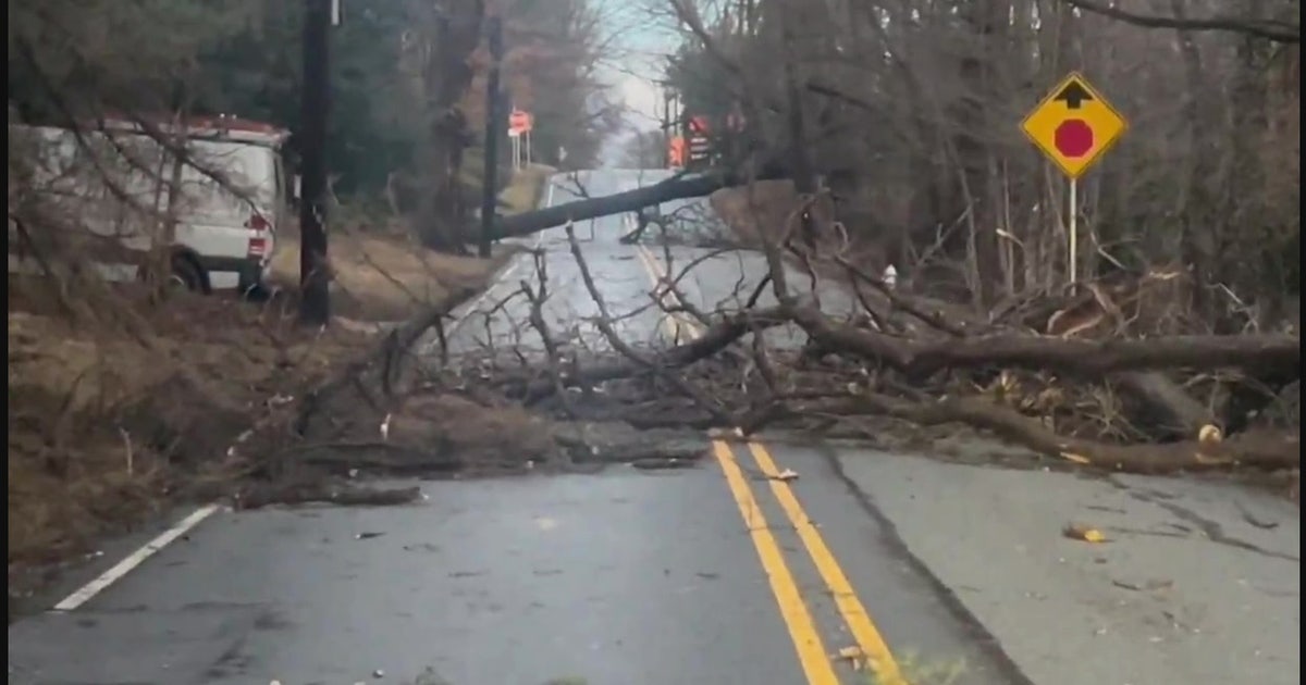 Trees downed, thousands without power as dangerous winds gust across ...