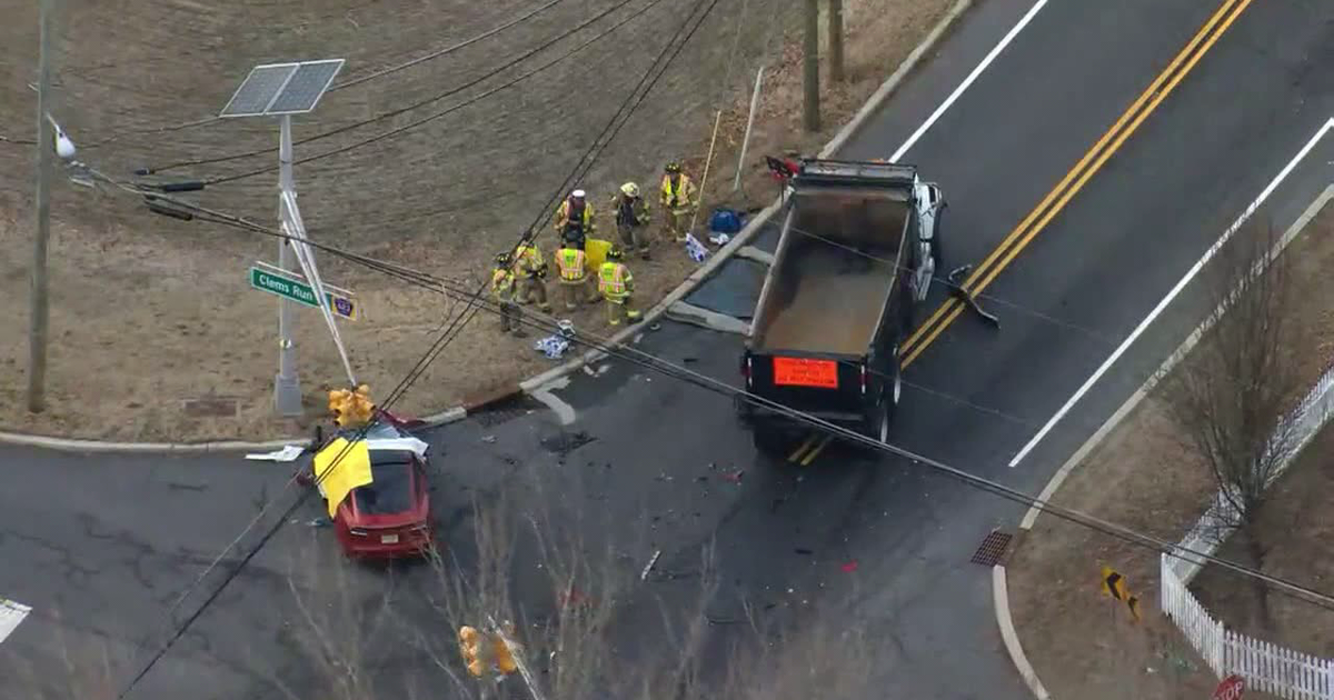 Tesla driver dies after veering into oncoming Mack truck 'for an ...