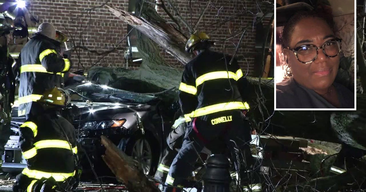 Woman, 65, killed after massive tree falls onto vehicle during wind ...