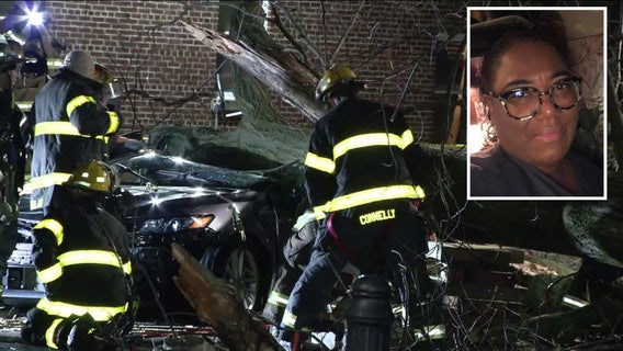 Woman, 65, killed after massive tree falls onto vehicle during wind storm in Philly