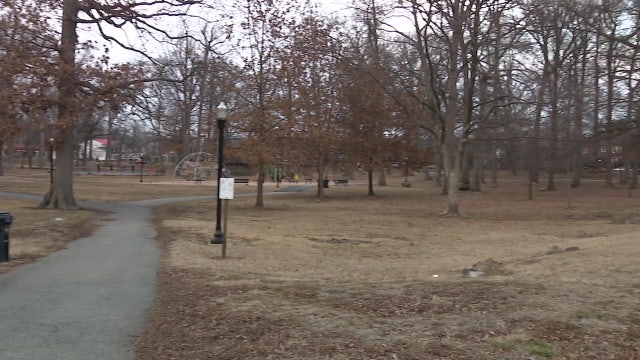 Dog saves girl during attempted kidnapping in Wilmington; suspect still sought