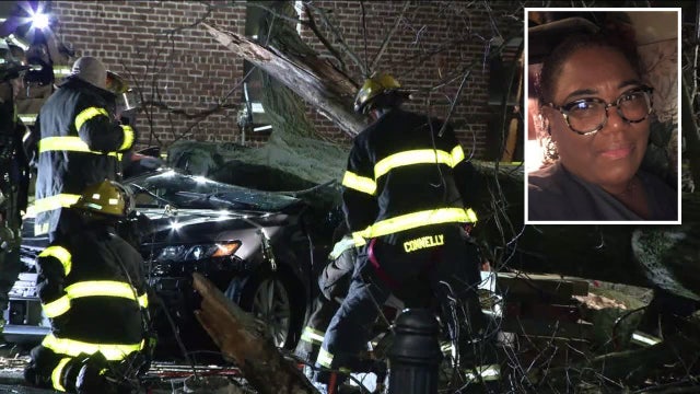 Woman, 65, killed after massive tree falls onto vehicle during wind storm in Philly