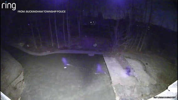 Intruders try to disable security system in Buckingham Twp. home break-in: police