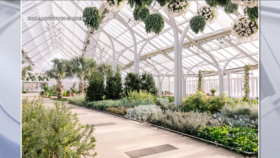Longwood Gardens named top botanical garden by USA Today