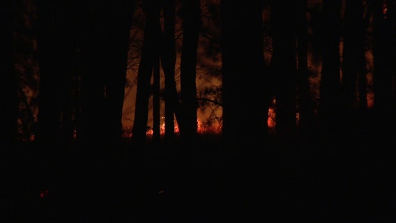 Wharton State Forest wildfire fully contained days after campground evacuations