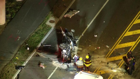 2 brothers, 1 puppy dead after car crashes off I-95 onto Philadelphia street below: police