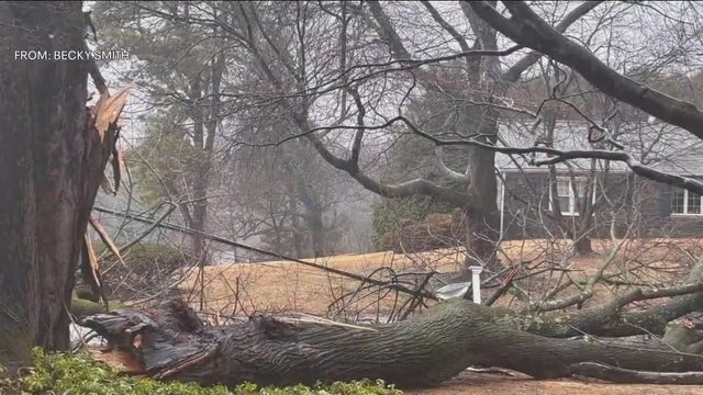Trees, power lines down after potent storm system rages across Delaware County