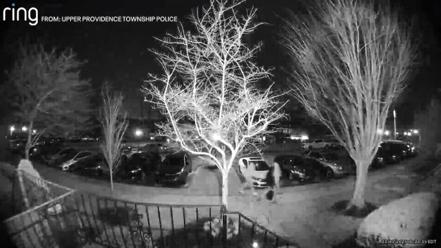 High-tech car thieves cloning key fobs to steal newer vehicle models: police