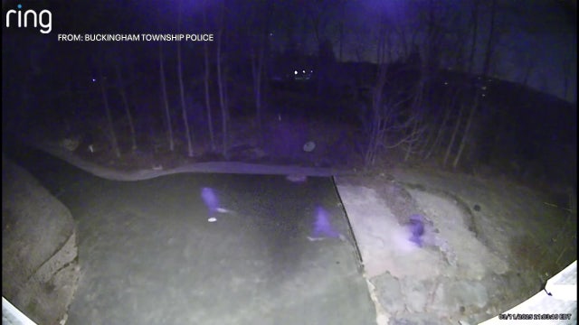 Intruders try to disable security system in Buckingham Twp. home break-in: police