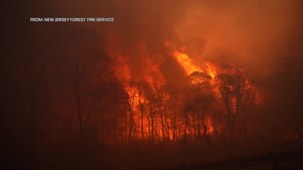 New Jersey wildfire: Man, 19, charged with arson in wildfire that has ...