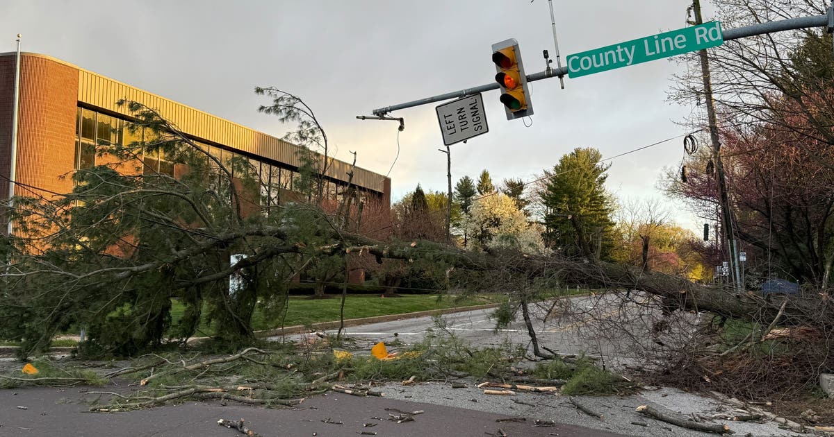 Severe weather: Brief, destructive storms topple trees, power lines ...