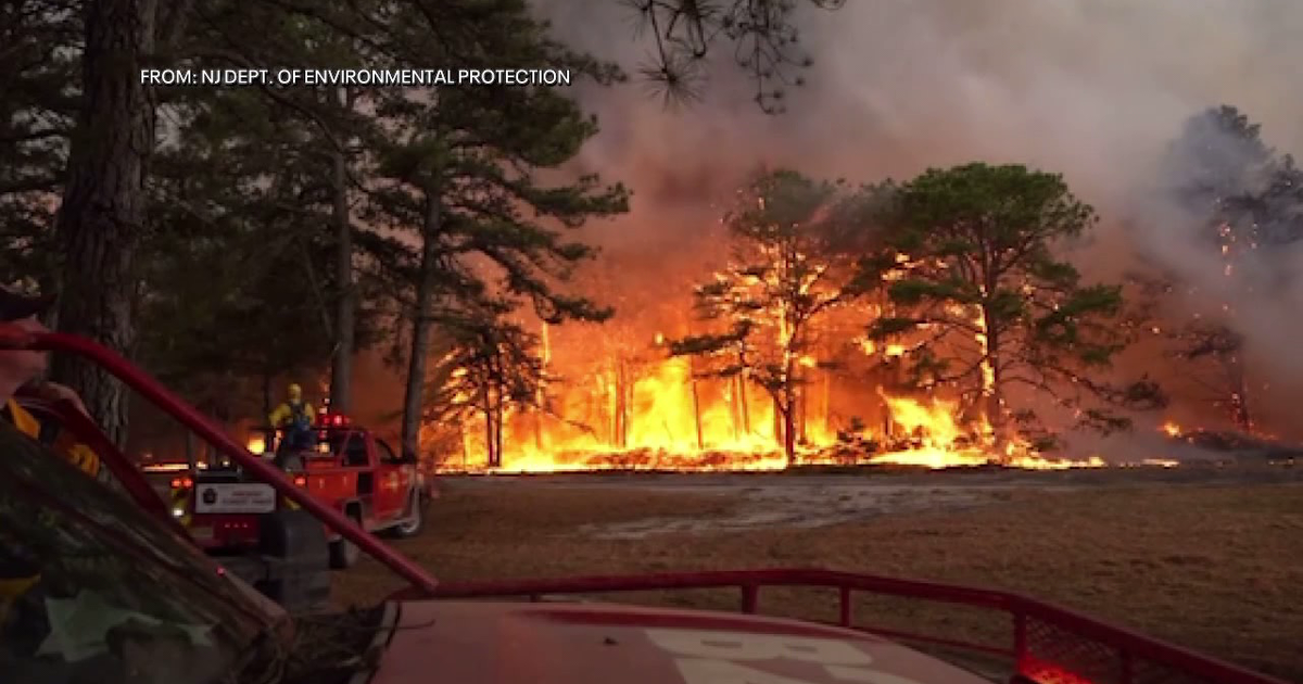 Second teen charged with arson in New Jersey wildfire that burned over ...