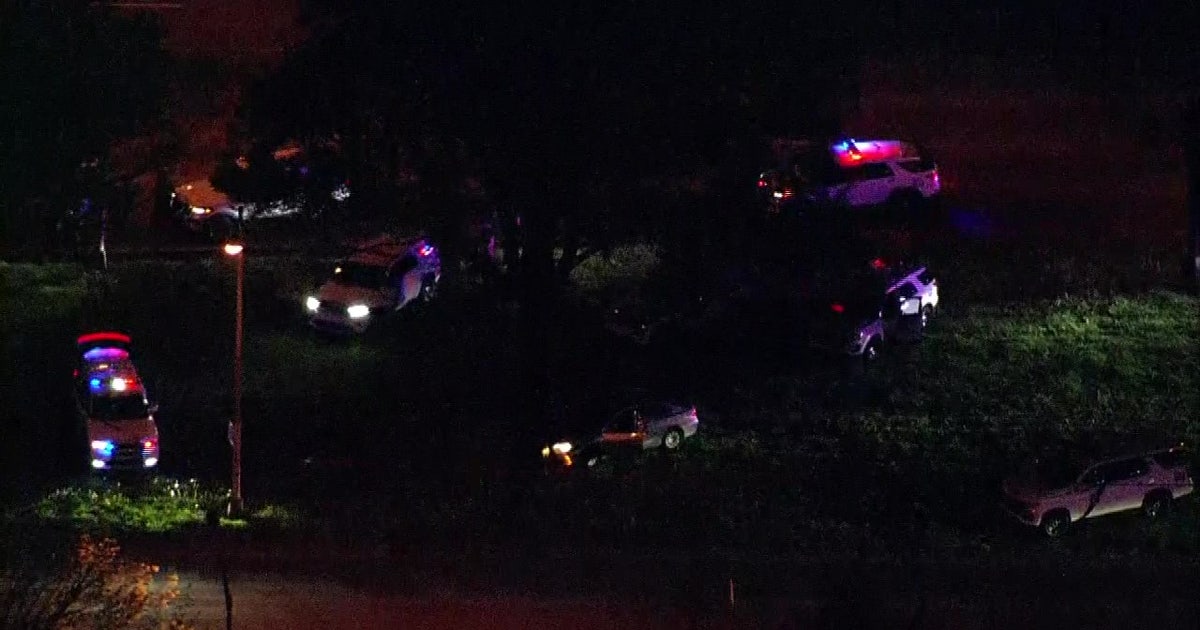 Carjacking suspect fatally shot by police after shooting, chase through ...