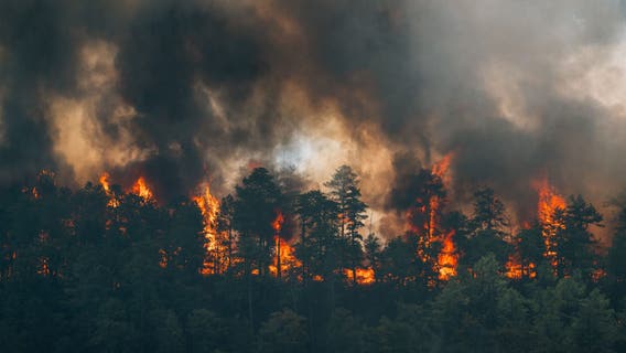 Forecasters sound alarm on 'elevated risk' of wildfire spread in New Jersey on Friday