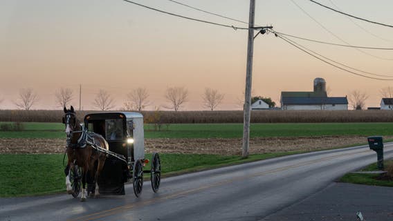 Amish buggies targeted by armed robber on Pennsylvania roads: state police
