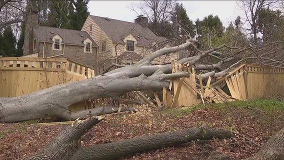 Delco severe weather: Straight-line winds confirmed after storms topple trees, power lines