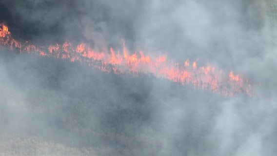 Wildfire in Ocean County could become 'largest in New Jersey in 20 years,' officials say