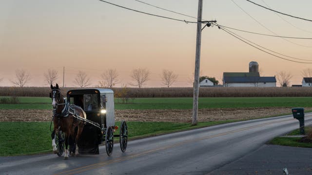 Amish buggies targeted by armed robber on Pennsylvania roads: state police