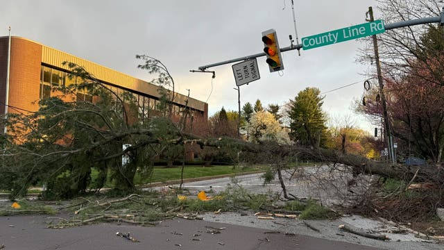 Severe weather: Brief, destructive storms topple trees, power lines from Chester to Bucks