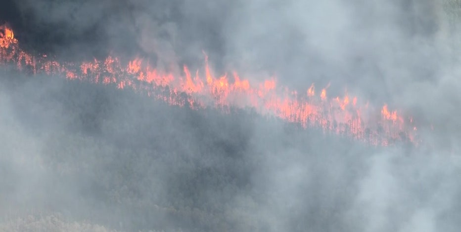 Wildfire in Ocean County could become 'largest in New Jersey in 20 years,' officials say