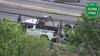 Escaped emu captured on busy highway in King Prussia