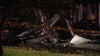 Man, woman killed in house fire in Washington Township; criminal investigation underway