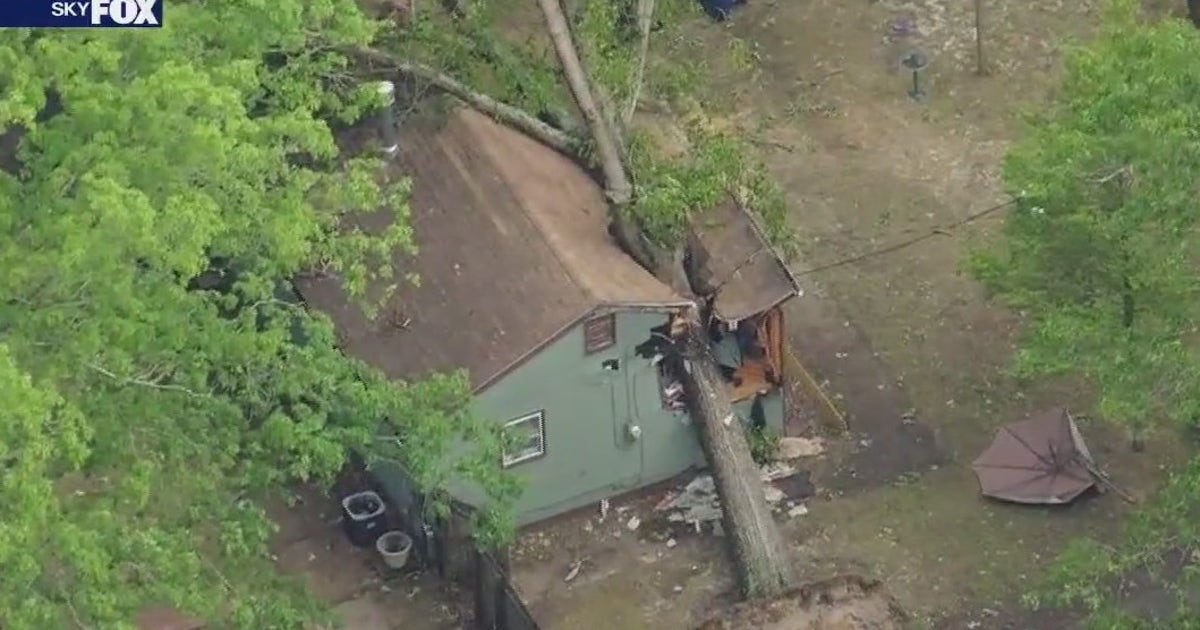 Tree falls into home during severe thunderstorm displacing woman in ...