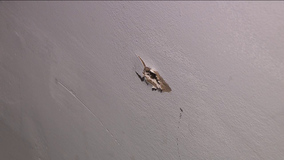 Woman came just inches from death when bullets flew into Philly home: 'I got down'