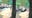 Impatient driver caught driving up Philly sidewalk, knocking over tree in shocking video