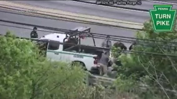 Escaped emu captured on busy highway in King Prussia