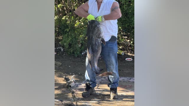 Massive catfish caught off new Schuylkill River Trail extension in Philadelphia