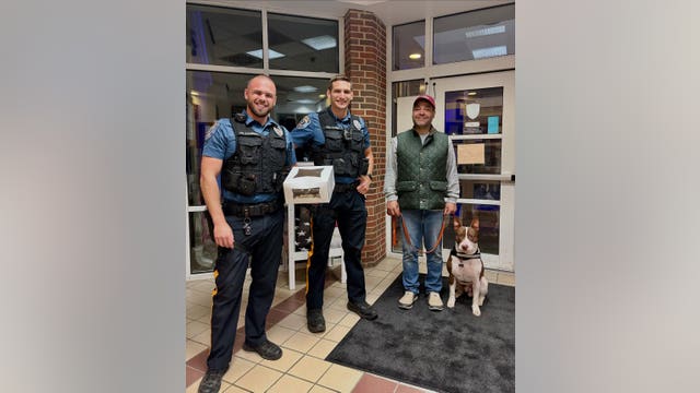 Dog drowning in backyard pool rescued by NJ officers