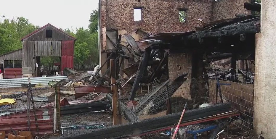 House of Wiggle fire: Owner speaks out after devastating fire kills dozens of animals