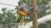 Power companies work nonstop to restore power after severe storms topple trees, power lines