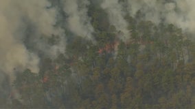 Wildfire burning in Burlington County, New Jersey