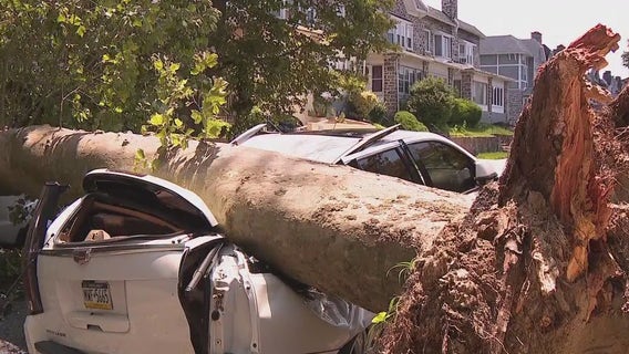 Severe weather upends over 200 trees, sending them into homes, cars across Philly neighborhoods
