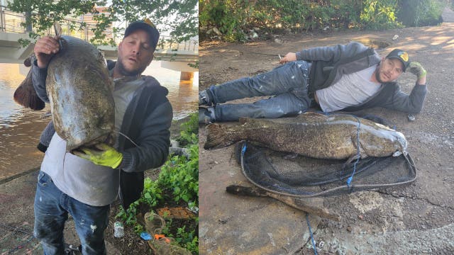 Man catches huge 72-pound catfish in Schuylkill River: 'Like winning the lottery'