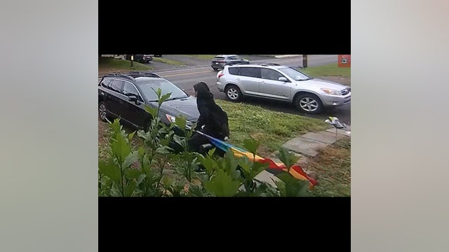 Suspect rips down Pride flag from Upper Moreland home: police