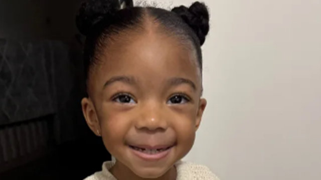 Nola Dinkins: Body found amid search for girl, 3, after mom accused of lying about abduction