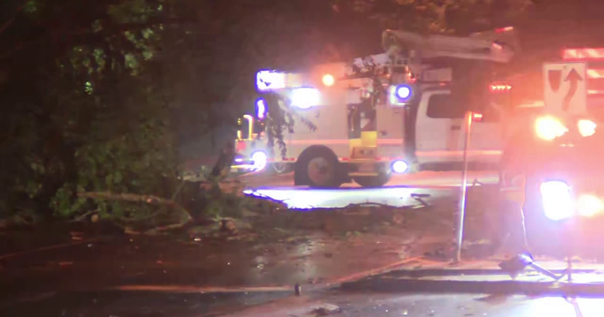 79-year-old woman killed after tree falls in New Castle County | FOX 29 ...