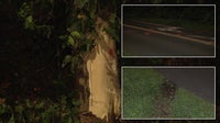 18-year-old dead, 2 teens injured after car crashes into tree in Bucks County