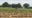 South Jersey farmers struggle with unpredictable weather conditions