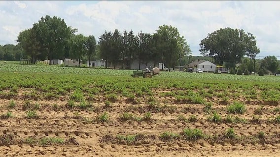 South Jersey farmers struggle with unpredictable weather conditions