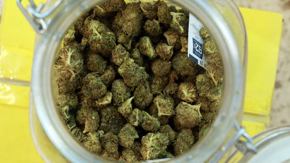 Recreational marijuana sales will begin in Delaware next month