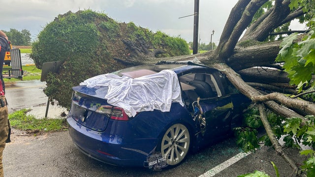 Strong storms in Philly, NJ area prompt severe damage, flooding, downed trees
