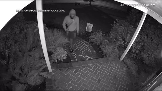 Attempted car thief assaults owner who had just lost his wife hours before: police