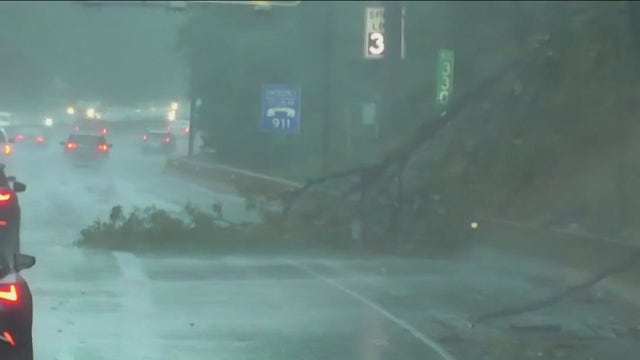 Powerful storms create chaos across the region